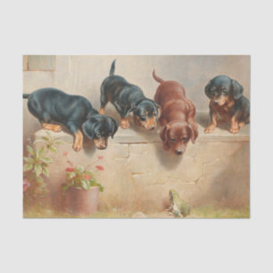 Papel De Seda Cachorros curiosos de Dachshund y una rana por Rei
