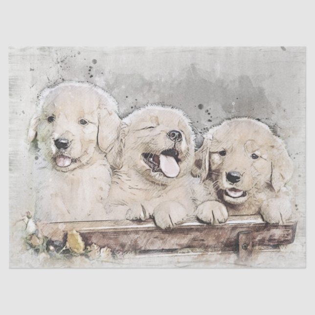 Papel De Seda Cachorros de Golden Retriever (Anverso)