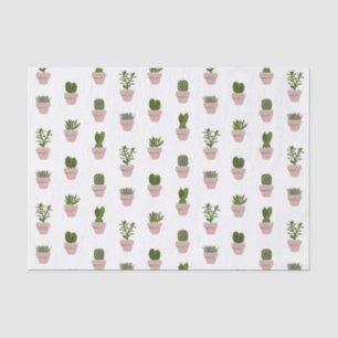 Papel De Seda Cacti y Suculento - Rosa - Transparente