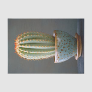 Papel De Seda Cactus verdes en una Verde azulada descomposición 