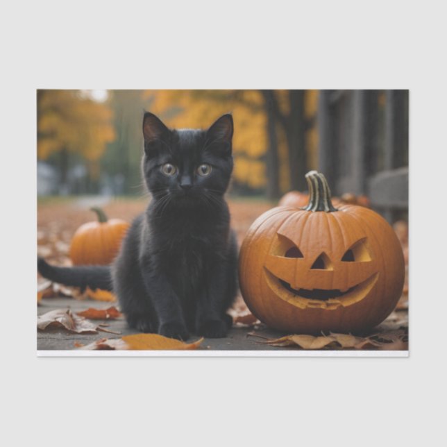 Papel De Seda Caída Calabaza Dulce gatito negro desconchazón (Anverso)