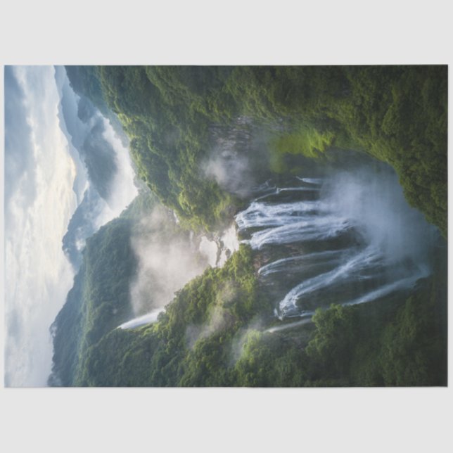 Papel De Seda Caída tropical contaminante en Sudamérica (Anverso)
