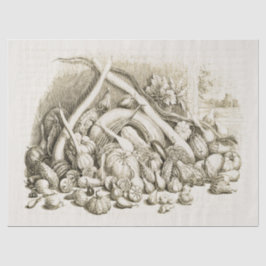 Papel De Seda Calabaza antigua de calabaza beige