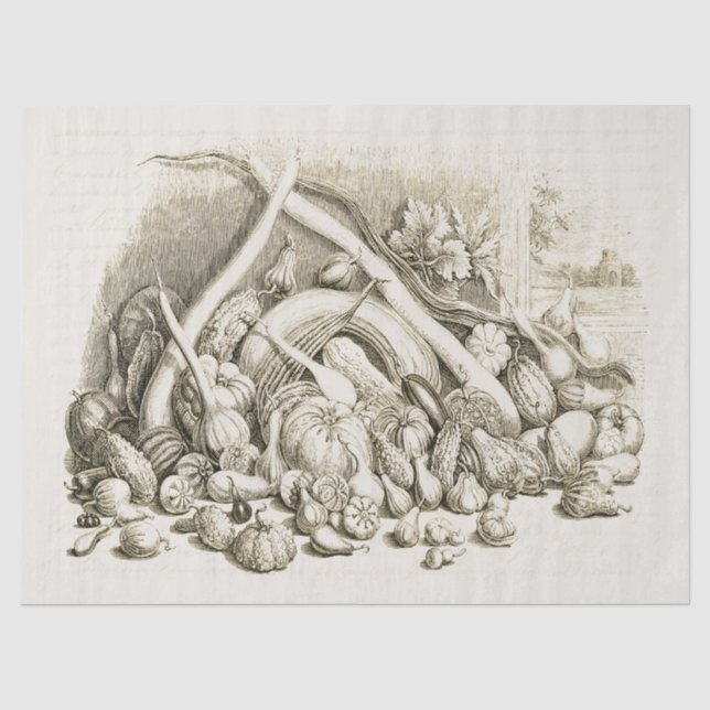 Papel De Seda Calabaza antigua de calabaza beige (Anverso)