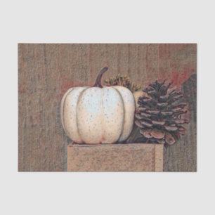 Papel De Seda Calabaza Blanca Marrón Otoño Rustic Farmhouse