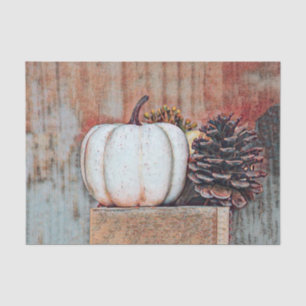 Papel De Seda Calabaza Blanca Otoño Rústico Campo Granjero