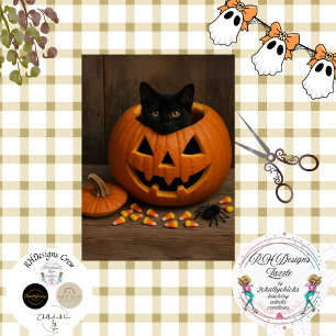 Papel De Seda Calabaza de descomposición Araña negra de gato par