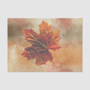 Papel De Seda Calabaza de hoja de otoño envolver Decoupage