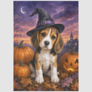 Papel De Seda Calabaza de sombrero de bruja Beagle