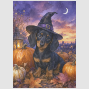 Papel De Seda Calabaza de sombrero de bruja Dachshund