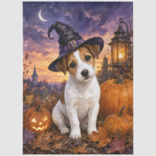 Papel De Seda Calabaza de sombrero de bruja de Jack Russell Terr