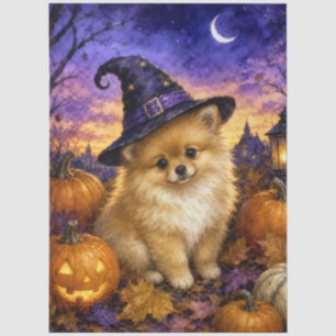 Papel De Seda Calabaza de sombrero de bruja Pomerania
