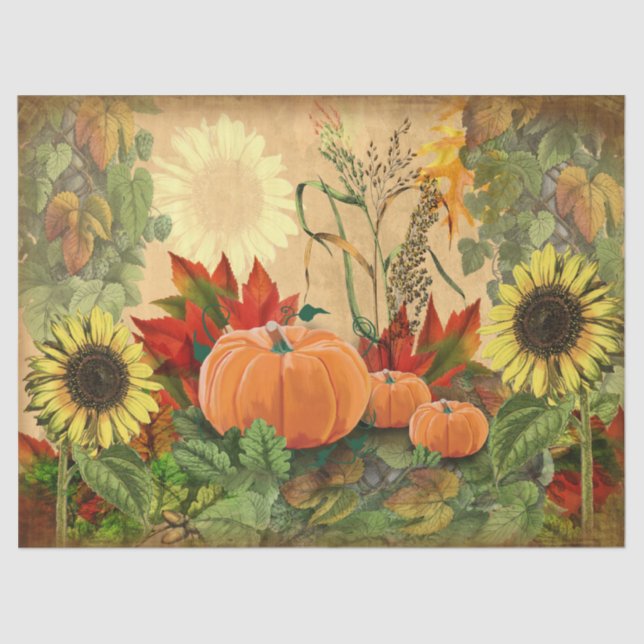 Papel De Seda Calabaza otoño otoño girasol (Anverso)