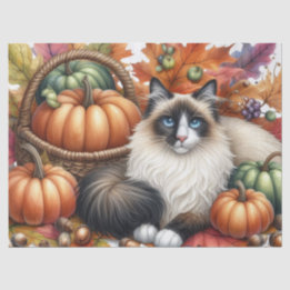Papel De Seda Calabazas de Otoño Hojas de Otoño Gato Ragdoll
