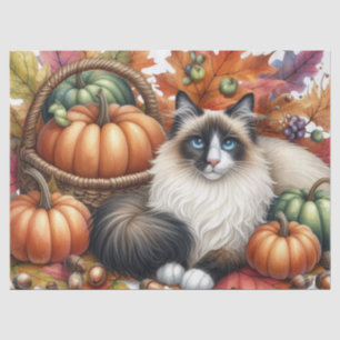 Papel De Seda Calabazas de Otoño Hojas de Otoño Gato Ragdoll