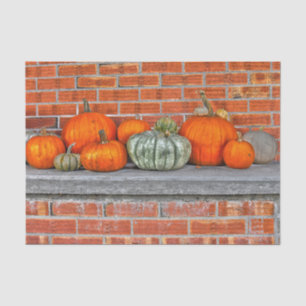 Papel De Seda Calabazas de otoño naranja brillante sobre fondo d