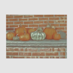 Papel De Seda Calabazas de otoño naranja fondo de ladrillo verde