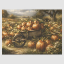 Calabazas en una carretilla de madera