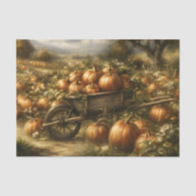 Calabazas en una carretilla de madera
