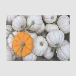Papel De Seda Calabazas fantasma con un naranja furtivo uno