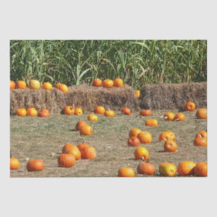 Papel De Seda Calabazas, maíz y heno Fotografía de la cosecha de