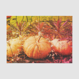 Papel De Seda Calabazas Y Plantas De Caída Decoración Vintage