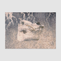 Calavera de cerdo gris beige textura vintage decou