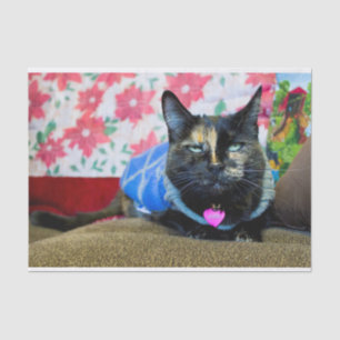 Papel De Seda Calcio I