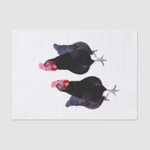 Papel De Seda Calentón de pollo negro,