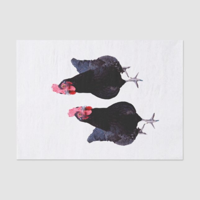 Papel De Seda Calentón de pollo negro, (Anverso)