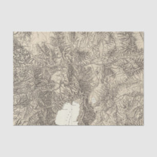 Papel De Seda California y Nevada