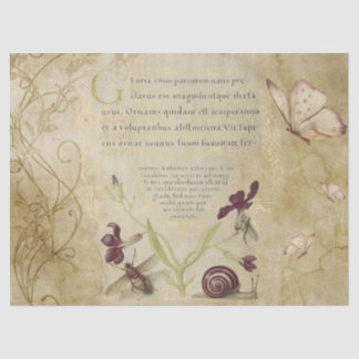 Papel De Seda Caligrafía medieval con naturaleza