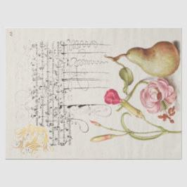 Papel De Seda Caligrafía y dibujo antiguos