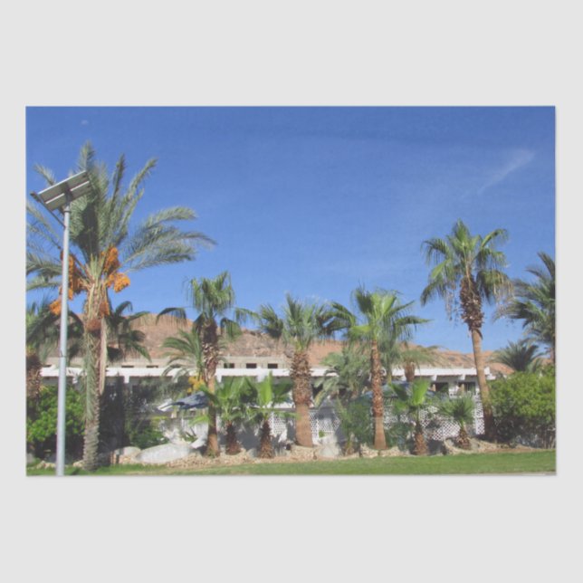 Papel De Seda Callejuelas (Anverso)