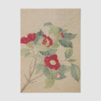 Camelias de Ma Yuanyu