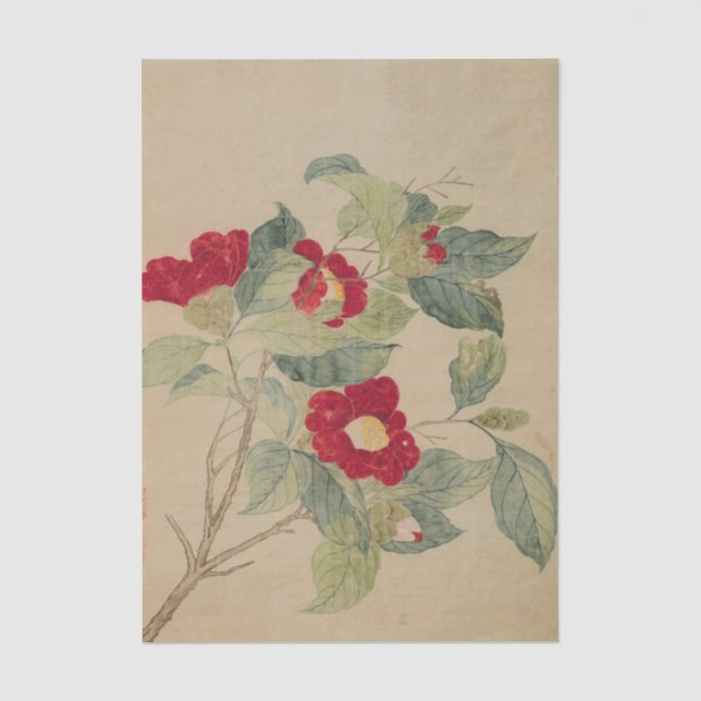 Papel De Seda Camelias de Ma Yuanyu (Anverso)