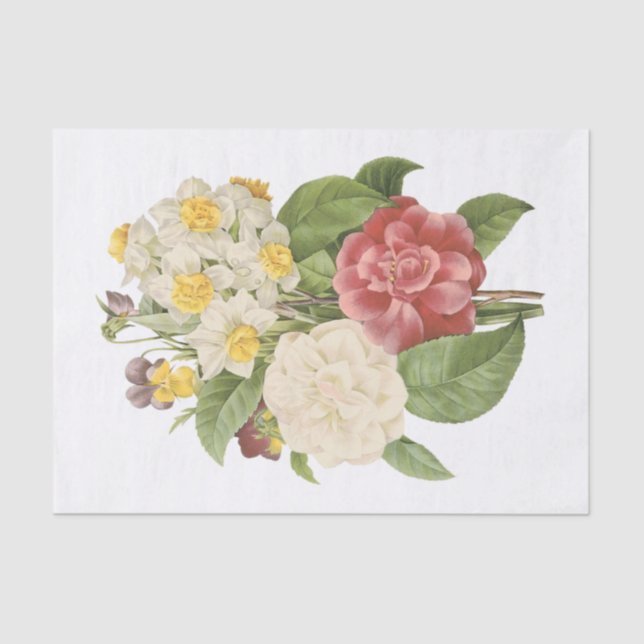 Papel De Seda Camellia, Narcissus, Pansy (Anverso)