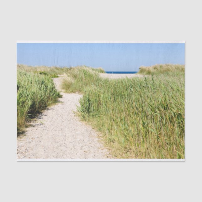 Papel De Seda Camino a la playa (Anverso)