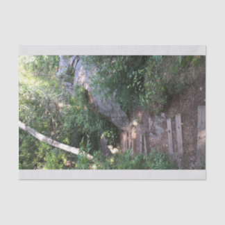 Papel De Seda Camino a través de árboles