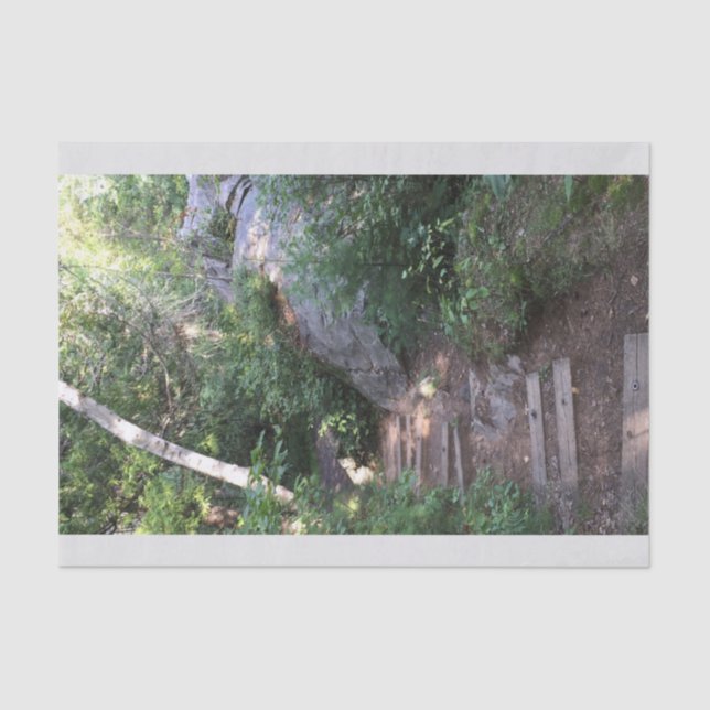 Papel De Seda Camino a través de árboles (Anverso)