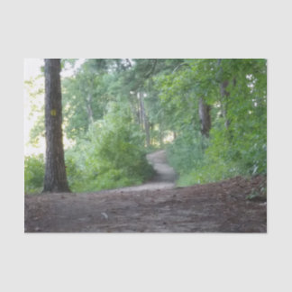 Papel De Seda Camino a través de un bosque