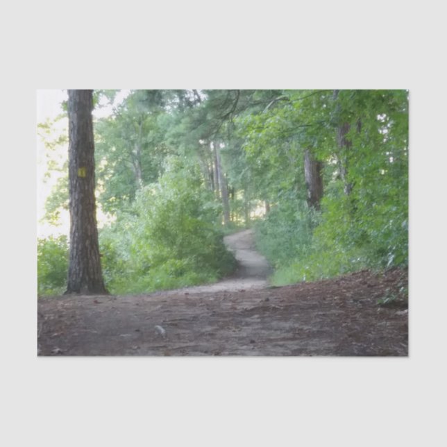 Papel De Seda Camino a través de un bosque (Anverso)