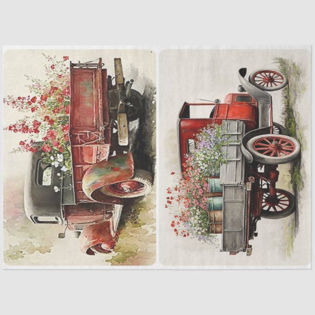 Papel De Seda Camiones de jardín (Anverso)