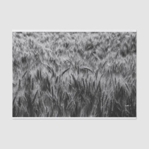 Papel De Seda Campo blanco y negro de trigo