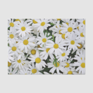Papel De Seda Campo de Daisies