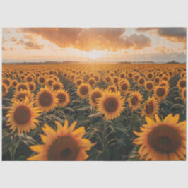 Papel De Seda Campo de desahucios de girasoles y amanecer