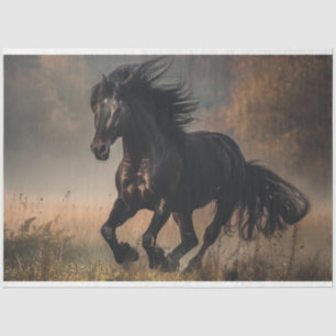 Papel De Seda Campo de ejecución del Stallion negro de desconexi
