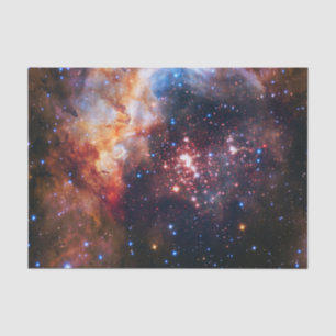 Papel De Seda Campo de estrella de Falln Westerlund