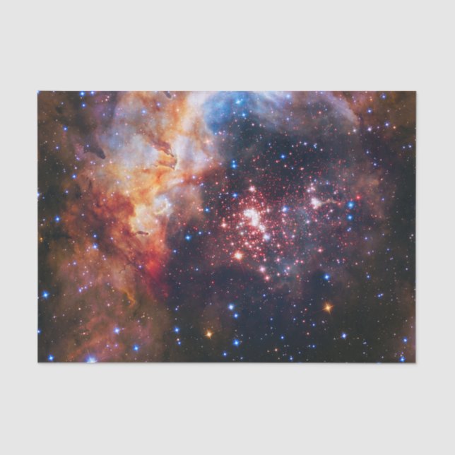 Papel De Seda Campo de estrella de Falln Westerlund (Anverso)