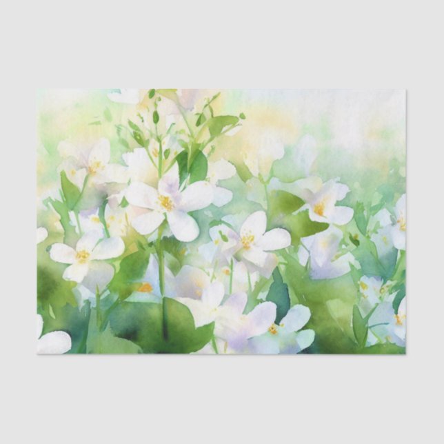 Papel De Seda Campo de flores-acuarela jazmín (B) (Anverso)